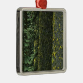 Ashland, Rogue RIver National Forest, Silbernes Ornament (Rechts)