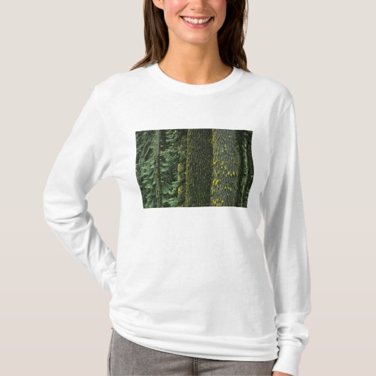 Ashland, Rogue RIver National Forest, T-Shirt (Vorderseite)