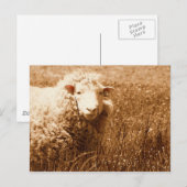 Ashley in Sepia Postkarte (Vorne/Hinten)