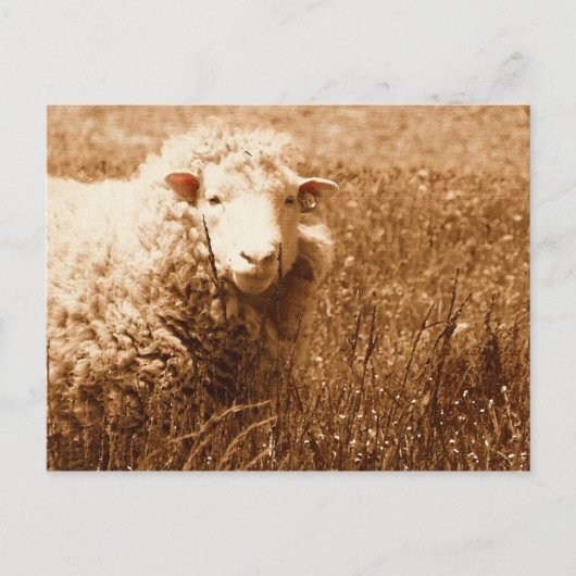 Ashley in Sepia Postkarte (Vorderseite)