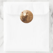 Ashley in Sepia Runder Aufkleber (Tasche)