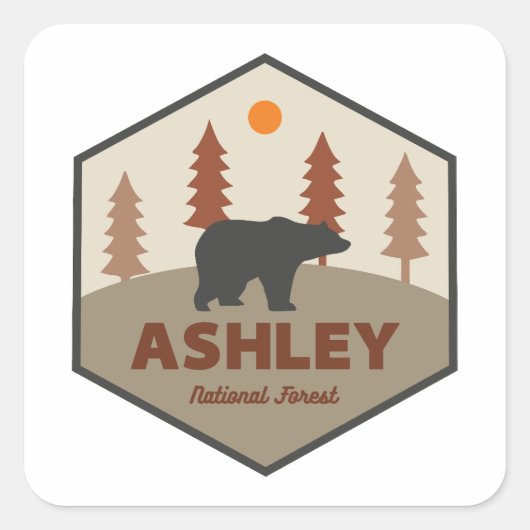 Ashley National Forest Bear Quadratischer Aufkleber (Vorderseite)