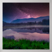 Ashley National Forest Poster (Vorne)