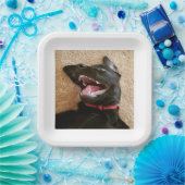 Ashley Noms Tellers Pappteller (Party)