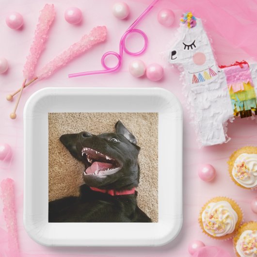 Ashley Noms Tellers Pappteller (Party)