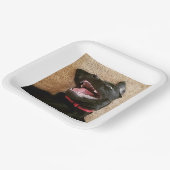 Ashley Noms Tellers Pappteller (Gewinkelt)