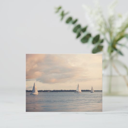 Ashley River Yachts Postkarte (Stehend Vorderseite)