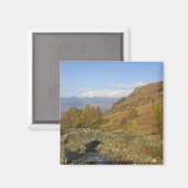 Ashness Bridge, Lake District, Cumbria, England Magnet (Vorderseite/Rückseite)
