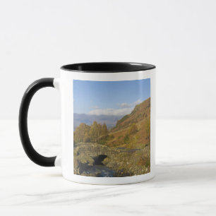 Ashness Bridge, Lake District, Cumbria, England Tasse