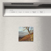 Ashness, Keswick, Lake District, England Magnet (In Situ (Geschirrspüler))