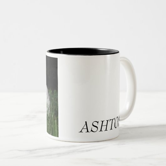 Ashton Zweifarbige Tasse (VorderseiteRechts)