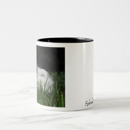 Ashton Zweifarbige Tasse (Mittel)