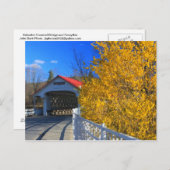 Ashuelot Covered Bridge Forsythia Postkarte (Vorne/Hinten)