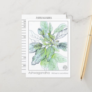 Ashwagandha Materia Medica Herbal Study Card Postkarte