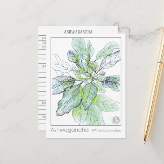Ashwagandha Materia Medica Herbal Study Card Postkarte (Vorderseite/Rückseite Beispiel)