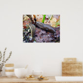 Ashy-Gray Slug Poster (Küche)