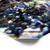 Ashy-Gray Slug Poster (Ecke)