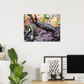 Ashy-Gray Slug Poster (Heimbüro)