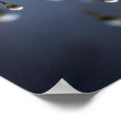 Asia, China | Huansan, Dewdrops Poster (Ecke)