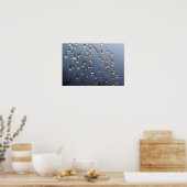 Asia, China | Huansan, Dewdrops Poster (Küche)