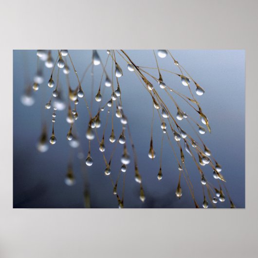Asia, China | Huansan, Dewdrops Poster (Vorne)
