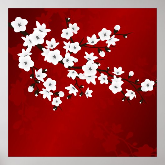 Asia Floral White Cherry Blossom Red Poster (Vorne)