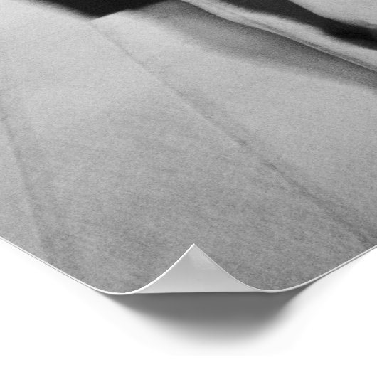 Asia, Japan, Tokyo. Young women on the Ginza. Poster (Ecke)