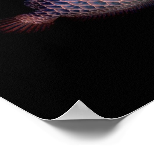 Asian Arowana "Blue Type" Poster (Ecke)