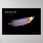 Asian Arowana "Blue Type" Poster (Vorne)