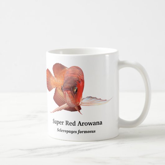 Asian Arowana Kaffeetasse (Rechts)