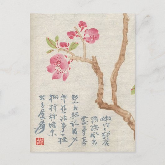 Asian Cherry Blossom Vintag Postcard Postkarte (Vorderseite)