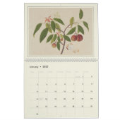 Asian Fruit Watercolor Moderne Bauernhausdekoratio Kalender (Jan 2027)