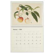 Asian Fruit Watercolor Moderne Bauernhausdekoratio Kalender (Feb 2026)