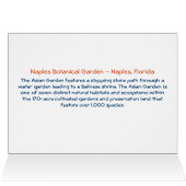 Asian Garden - Neapel Botanischer Garten Neapel, F (Innenansicht Horizontal (Oben))