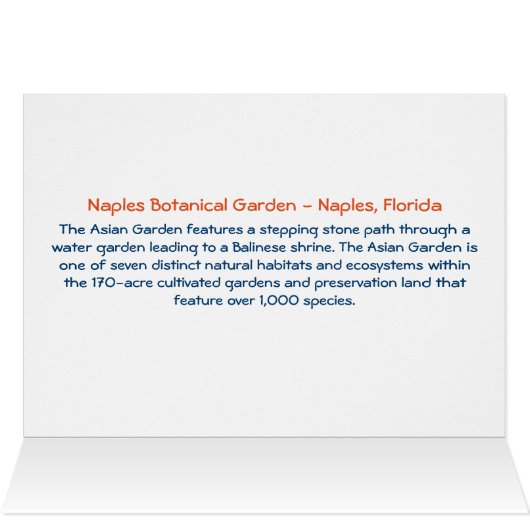 Asian Garden - Neapel Botanischer Garten Neapel, F (Innenansicht Horizontal (Oben))