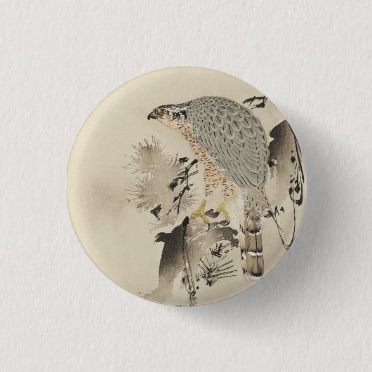 Asian Goshawk - 1890 Button (Vorderseite)