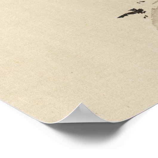 Asian Goshawk - 1890 Poster (Ecke)