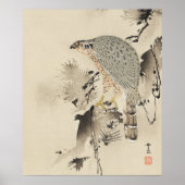 Asian Goshawk - 1890 Poster (Vorne)