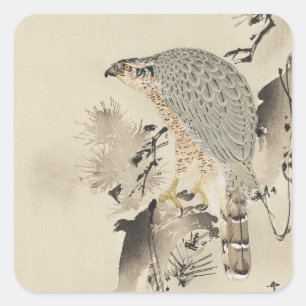 Asian Goshawk - 1890 Quadratischer Aufkleber