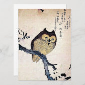 Asian Owl (Vorne/Hinten)