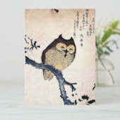 Asian Owl (Stehend Vorderseite)