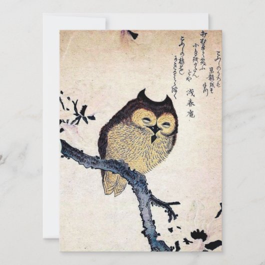 Asian Owl (Vorderseite)