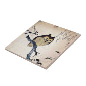 Asian Owl Fliese (Seite)