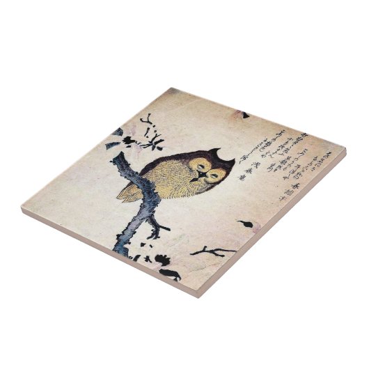 Asian Owl Fliese (Seite)