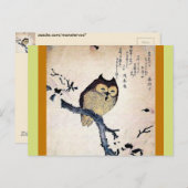 Asian Owl Postkarte (Vorne/Hinten)