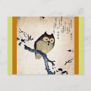Asian Owl Postkarte