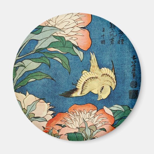 ASIAN PEONIES-Magnet Magnet (Vorne)