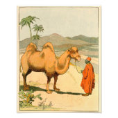 Asian Two Hump Camel Fotodruck (Vorne)