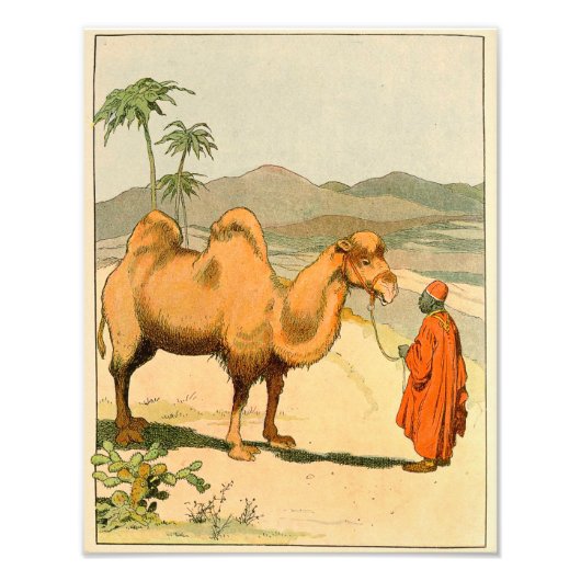 Asian Two Hump Camel Fotodruck (Vorne)