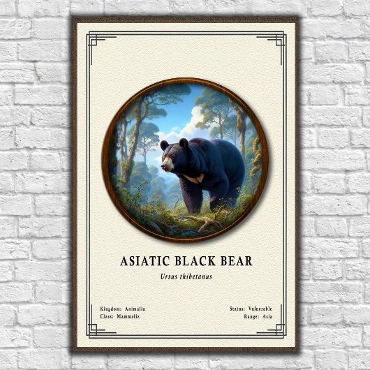 Asiatic Black Bear Zoology Series Poster